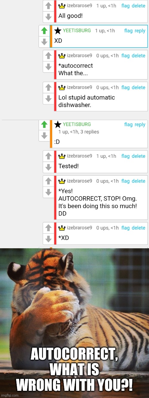 AUTOCORRECT, WHAT IS WRONG WITH YOU?! | image tagged in facepalm tiger | made w/ Imgflip meme maker