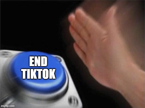oh e | END TIKTOK | image tagged in memes,blank nut button | made w/ Imgflip meme maker