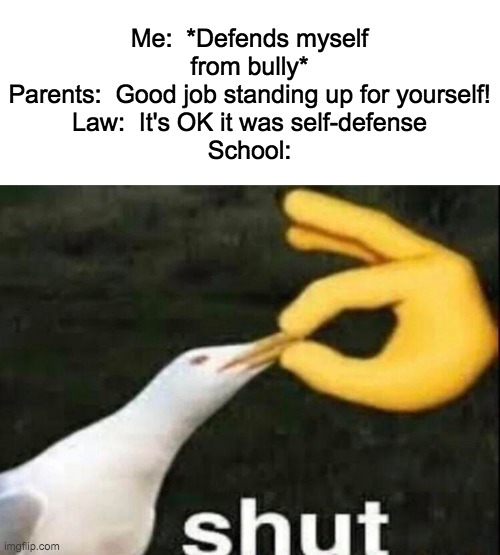 I hate it when this happens |  Me:  *Defends myself from bully*
Parents:  Good job standing up for yourself!
Law:  It's OK it was self-defense
School: | image tagged in shut | made w/ Imgflip meme maker