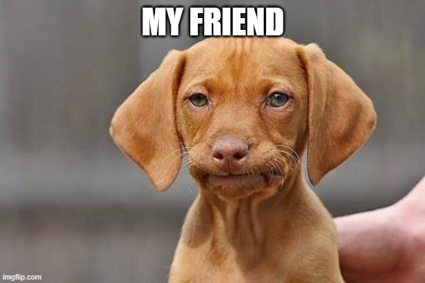 Dissapointed puppy | MY FRIEND | image tagged in dissapointed puppy | made w/ Imgflip meme maker