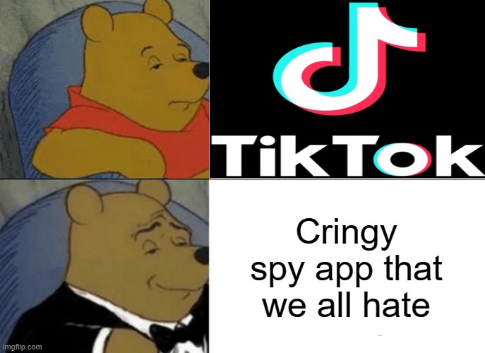 Hate on tiktok | Cringy spy app that we all hate | image tagged in tuxedo winnie the pooh,tiktok | made w/ Imgflip meme maker