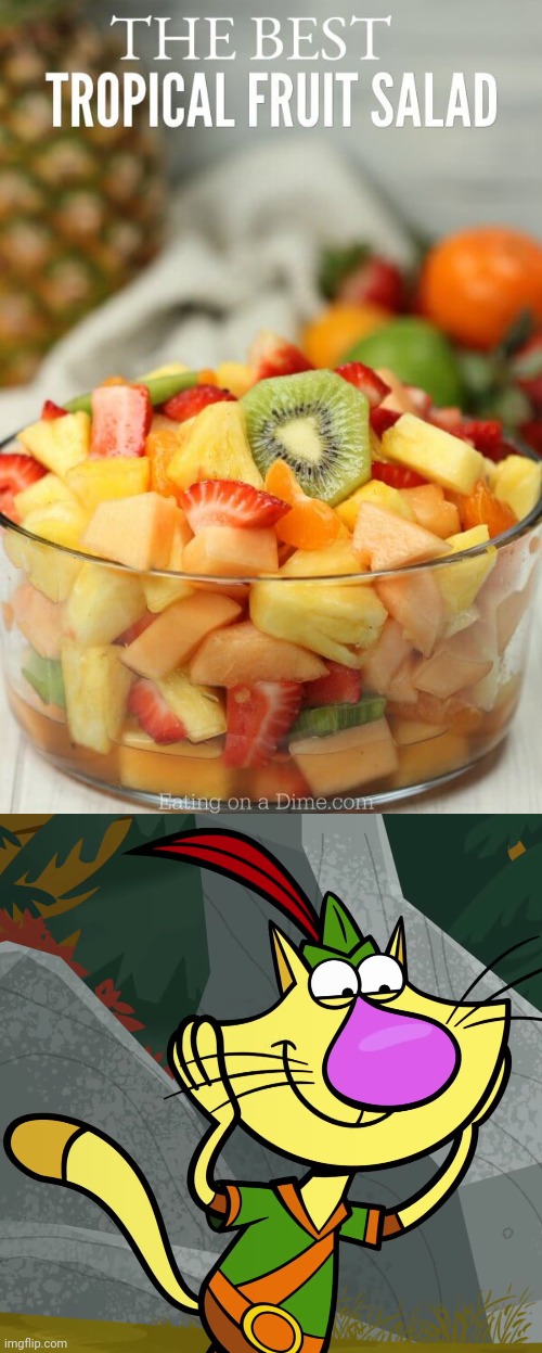 Tropical Fruit Salad!! Good to eat! | image tagged in omg nature cat,fruits,memes,food memes,delicious | made w/ Imgflip meme maker