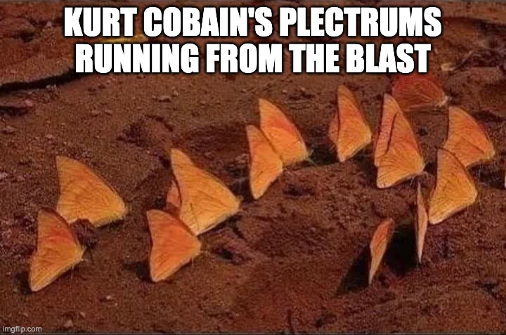 Kurt cobain | KURT COBAIN'S PLECTRUMS RUNNING FROM THE BLAST | image tagged in kurt cobain,dark humor,dark humour | made w/ Imgflip meme maker