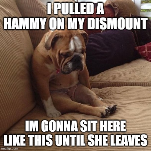 Pulled a Hammy | I PULLED A HAMMY ON MY DISMOUNT; IM GONNA SIT HERE LIKE THIS UNTIL SHE LEAVES | image tagged in bulldogsad | made w/ Imgflip meme maker