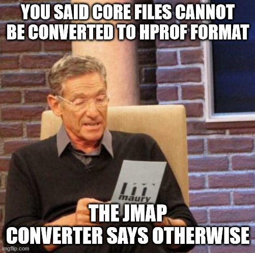 Maury Lie Detector | YOU SAID CORE FILES CANNOT BE CONVERTED TO HPROF FORMAT; THE JMAP CONVERTER SAYS OTHERWISE | image tagged in memes,maury lie detector,core,dump,linux,java | made w/ Imgflip meme maker