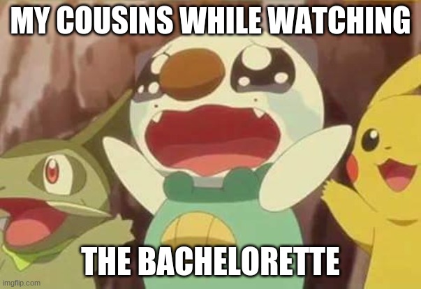 funny Pokemon | MY COUSINS WHILE WATCHING; THE BACHELORETTE | image tagged in funny pokemon | made w/ Imgflip meme maker