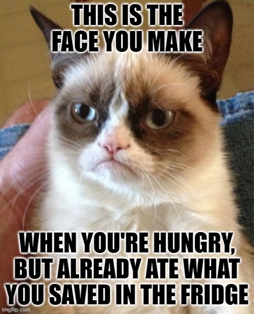 Grumpy Cat Meme | THIS IS THE FACE YOU MAKE; WHEN YOU'RE HUNGRY, BUT ALREADY ATE WHAT YOU SAVED IN THE FRIDGE | image tagged in memes,grumpy cat | made w/ Imgflip meme maker