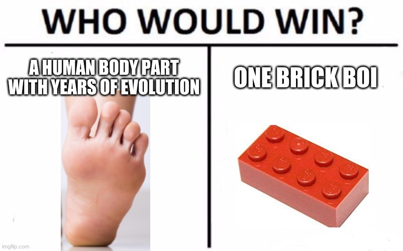 Who Would Win? | A HUMAN BODY PART WITH YEARS OF EVOLUTION; ONE BRICK BOI | image tagged in memes,who would win | made w/ Imgflip meme maker
