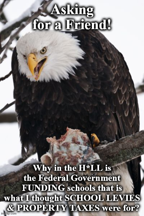 eagle | Asking for a Friend! Why in the H*LL is the Federal Government FUNDING schools that is what I thought SCHOOL LEVIES
 & PROPERTY TAXES were for? | image tagged in eagle | made w/ Imgflip meme maker