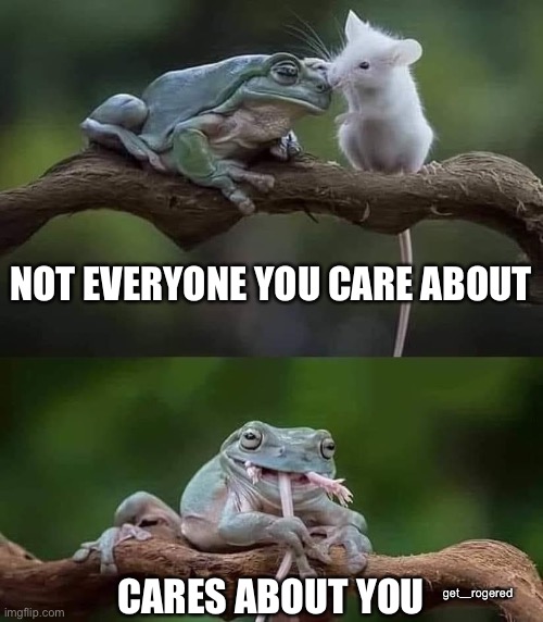 Bad Frog | NOT EVERYONE YOU CARE ABOUT; get_rogered; CARES ABOUT YOU | image tagged in bad frog | made w/ Imgflip meme maker