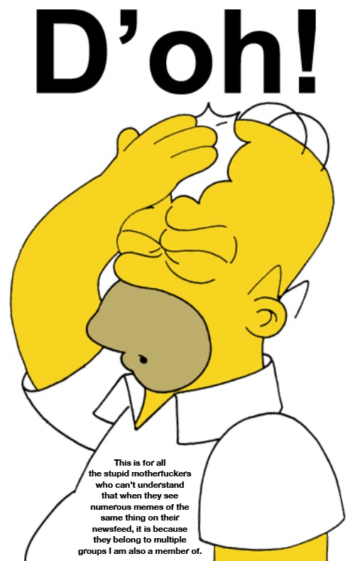 This is for all of the really stupid people on social media | This is for all the stupid motherfuckers who can't understand that when they see numerous memes of the same thing on their newsfeed, it is because they belong to multiple groups I am also a member of. | image tagged in stupid people be like,stupid people,special kind of stupid,stupid liberals,you can't fix stupid,stfu | made w/ Imgflip meme maker