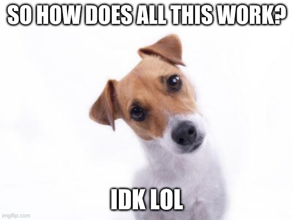 Confused Dog | SO HOW DOES ALL THIS WORK? IDK LOL | made w/ Imgflip meme maker