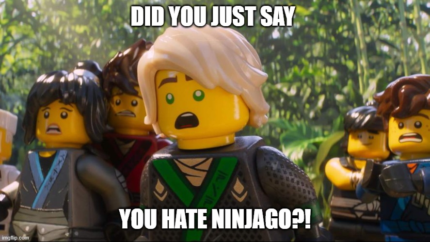 Ninjago Shocked | DID YOU JUST SAY; YOU HATE NINJAGO?! | image tagged in ninjago shocked | made w/ Imgflip meme maker