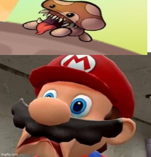 Mario WTF | image tagged in mario wtf | made w/ Imgflip meme maker