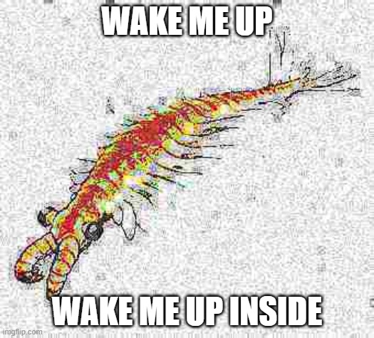 anomalocarid hours | WAKE ME UP; WAKE ME UP INSIDE | image tagged in deep fried,shrimp | made w/ Imgflip meme maker