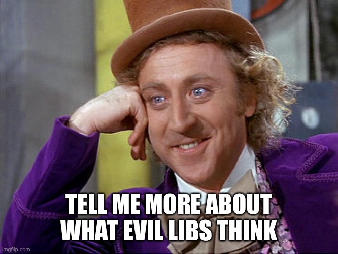 Big Willy Wonka Tell Me Again | TELL ME MORE ABOUT WHAT EVIL LIBS THINK | image tagged in big willy wonka tell me again | made w/ Imgflip meme maker