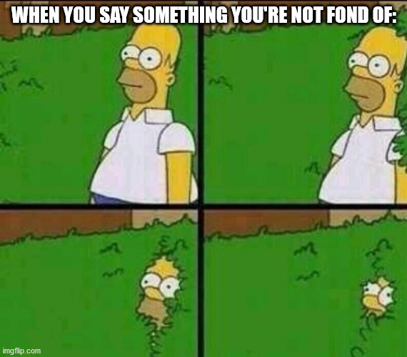 Homer Simpson in Bush - Large | WHEN YOU SAY SOMETHING YOU'RE NOT FOND OF: | image tagged in homer simpson in bush - large | made w/ Imgflip meme maker