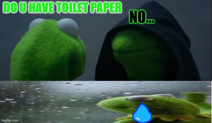 oh... SAD. | NO... DO U HAVE TOILET PAPER | image tagged in memes,evil kermit | made w/ Imgflip meme maker