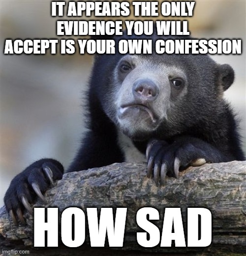 Confession Bear Meme | IT APPEARS THE ONLY EVIDENCE YOU WILL ACCEPT IS YOUR OWN CONFESSION HOW SAD | image tagged in memes,confession bear | made w/ Imgflip meme maker