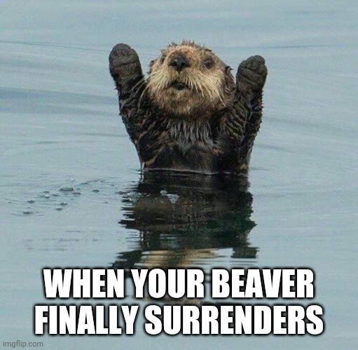 WHEN YOUR BEAVER FINALLY SURRENDERS | image tagged in beaver | made w/ Imgflip meme maker