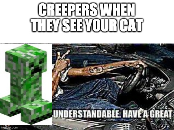 Creepers be like | CREEPERS WHEN THEY SEE YOUR CAT | image tagged in creeper | made w/ Imgflip meme maker