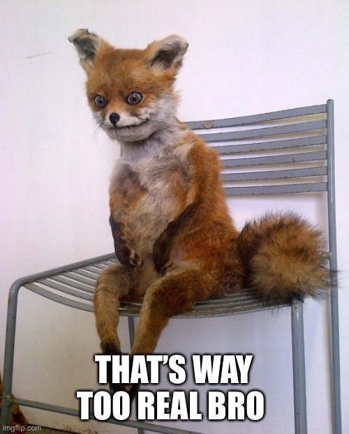 Stoned Fox | THAT’S WAY TOO REAL BRO | image tagged in stoned fox | made w/ Imgflip meme maker