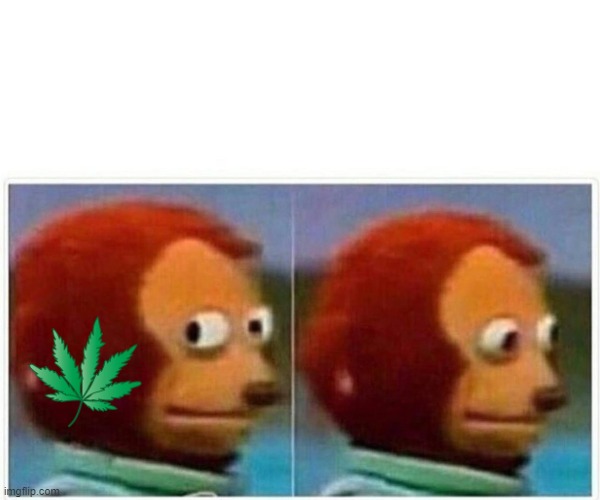 Monkey Puppet Meme | image tagged in memes,monkey puppet | made w/ Imgflip meme maker