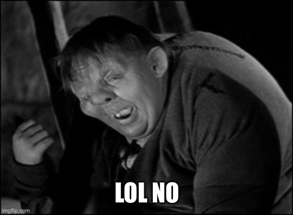 Hunchback | LOL NO | image tagged in hunchback | made w/ Imgflip meme maker