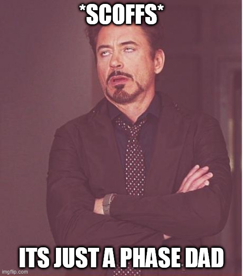 scoff | *SCOFFS*; ITS JUST A PHASE DAD | image tagged in memes,face you make robert downey jr | made w/ Imgflip meme maker