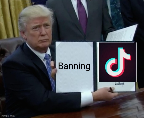 Trump Bill Signing Meme | Banning | image tagged in memes,trump bill signing | made w/ Imgflip meme maker