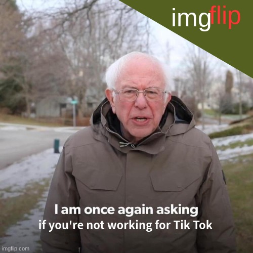 Bernie I Am Once Again Asking For Your Support Meme | img; flip; if you're not working for Tik Tok | image tagged in memes,bernie i am once again asking for your support | made w/ Imgflip meme maker