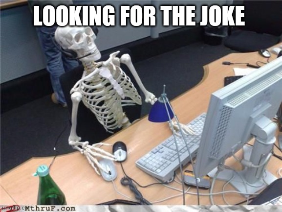 Skeleton Computer | LOOKING FOR THE JOKE | image tagged in skeleton computer | made w/ Imgflip meme maker