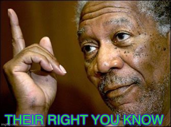 This Morgan Freeman | THEIR RIGHT YOU KNOW | image tagged in this morgan freeman | made w/ Imgflip meme maker