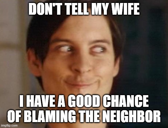 Spiderman Peter Parker Meme | DON'T TELL MY WIFE I HAVE A GOOD CHANCE OF BLAMING THE NEIGHBOR | image tagged in memes,spiderman peter parker | made w/ Imgflip meme maker