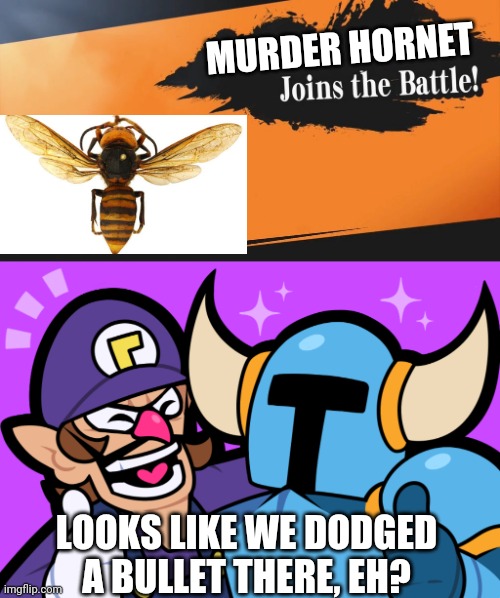 I bet Waluigi doesn't want to be in smash now ;) | MURDER HORNET; LOOKS LIKE WE DODGED A BULLET THERE, EH? | image tagged in smash bros | made w/ Imgflip meme maker