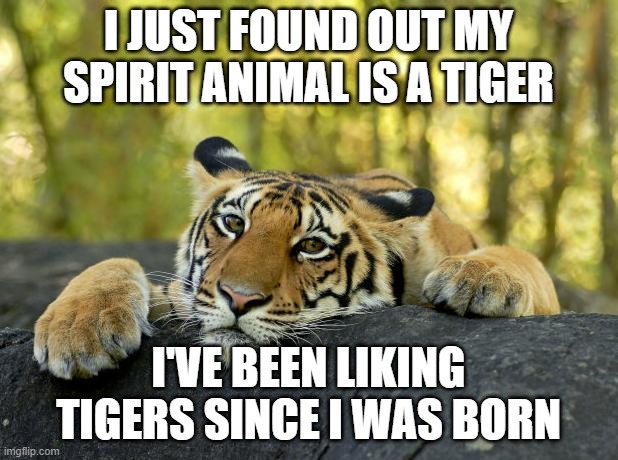 Confession Tiger | I JUST FOUND OUT MY SPIRIT ANIMAL IS A TIGER; I'VE BEEN LIKING TIGERS SINCE I WAS BORN | image tagged in confession tiger | made w/ Imgflip meme maker