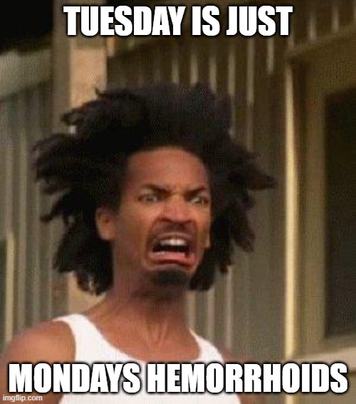 Disgusted Face | TUESDAY IS JUST; MONDAYS HEMORRHOIDS | image tagged in disgusted face,tuesday | made w/ Imgflip meme maker