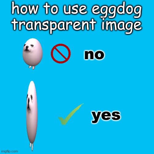 Blank Transparent Square Meme | how to use eggdog transparent image; no; yes | image tagged in memes,blank transparent square | made w/ Imgflip meme maker