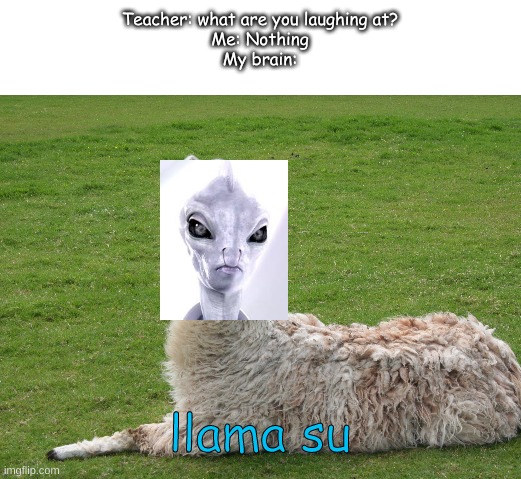 Teacher: what are you laughing at?
Me: Nothing
My brain:; llama su | image tagged in star wars,memes,funny,llama | made w/ Imgflip meme maker