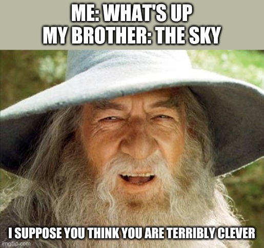 Im back | ME: WHAT'S UP
MY BROTHER: THE SKY; I SUPPOSE YOU THINK YOU ARE TERRIBLY CLEVER | image tagged in a wizard is never late | made w/ Imgflip meme maker