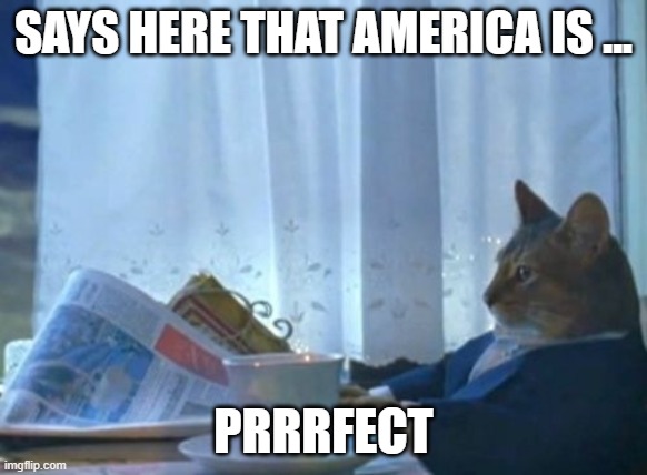 I Should Buy A Boat Cat Meme | SAYS HERE THAT AMERICA IS ... PRRRFECT | image tagged in memes,i should buy a boat cat | made w/ Imgflip meme maker