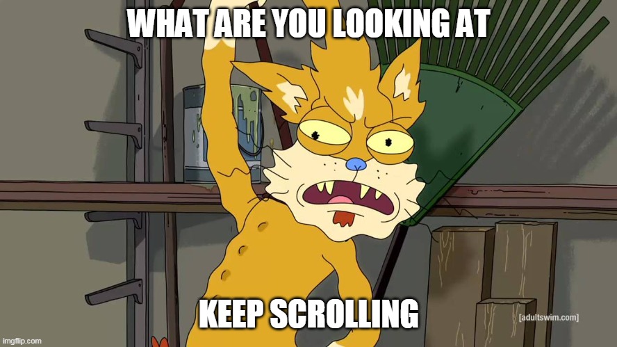 Squanchy | WHAT ARE YOU LOOKING AT; KEEP SCROLLING | image tagged in squanchy,what are you looking at,keep scrolling | made w/ Imgflip meme maker