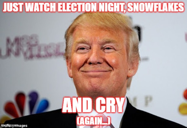 Donald trump approves | JUST WATCH ELECTION NIGHT, SNOWFLAKES AND CRY (AGAIN...) | image tagged in donald trump approves | made w/ Imgflip meme maker