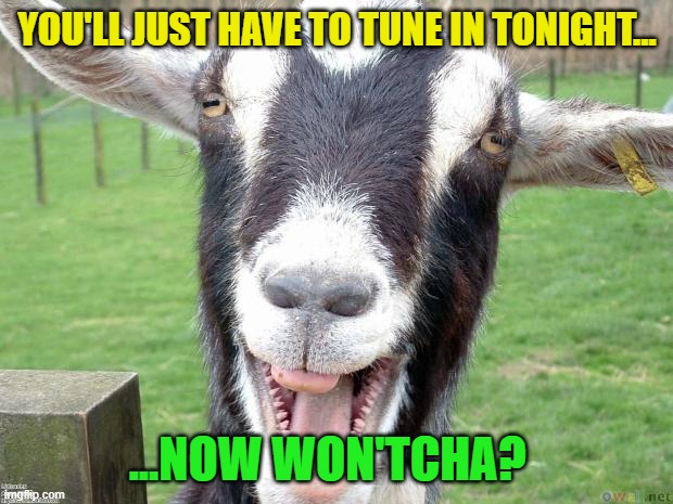 Funny Goat | YOU'LL JUST HAVE TO TUNE IN TONIGHT... ...NOW WON'TCHA? | image tagged in funny goat | made w/ Imgflip meme maker