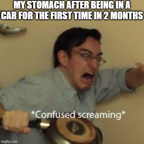 getting used to riding in a car again after quarentine | MY STOMACH AFTER BEING IN A CAR FOR THE FIRST TIME IN 2 MONTHS | image tagged in filthy frank confused scream | made w/ Imgflip meme maker