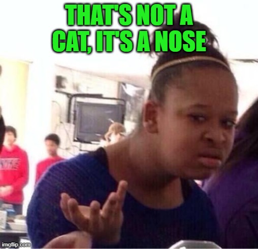 ..Or Nah? | THAT'S NOT A CAT, IT'S A NOSE | image tagged in or nah | made w/ Imgflip meme maker