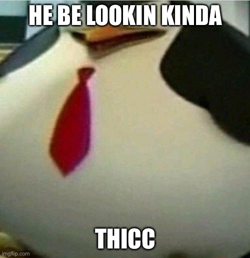 Thicc Skipper | HE BE LOOKIN KINDA THICC | image tagged in thicc skipper | made w/ Imgflip meme maker