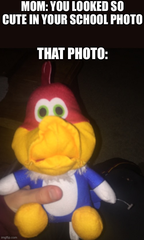 School photo | MOM: YOU LOOKED SO CUTE IN YOUR SCHOOL PHOTO; THAT PHOTO: | image tagged in bootleg woody woodpecker,mom,school,memes,fun,school photo | made w/ Imgflip meme maker