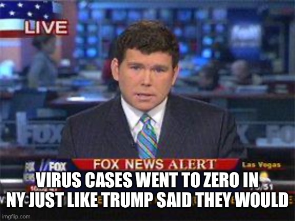 Fox news alert | VIRUS CASES WENT TO ZERO IN NY JUST LIKE TRUMP SAID THEY WOULD | image tagged in fox news alert | made w/ Imgflip meme maker
