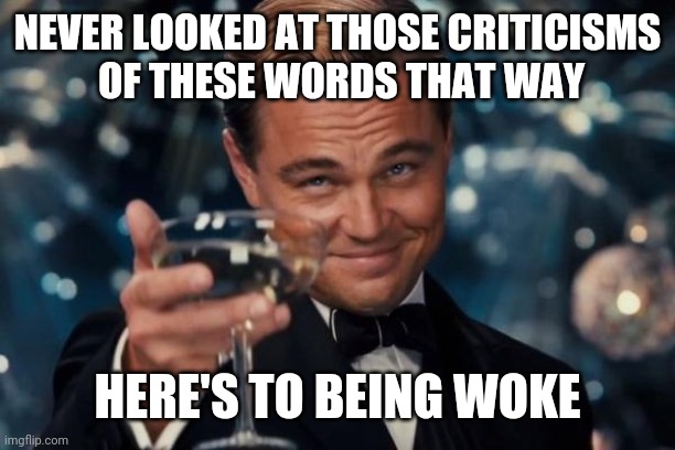 Leonardo Dicaprio Cheers Meme | NEVER LOOKED AT THOSE CRITICISMS
 OF THESE WORDS THAT WAY HERE'S TO BEING WOKE | image tagged in memes,leonardo dicaprio cheers | made w/ Imgflip meme maker